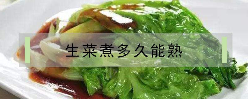 生菜煮多久能熟 生菜煮多久可以熟