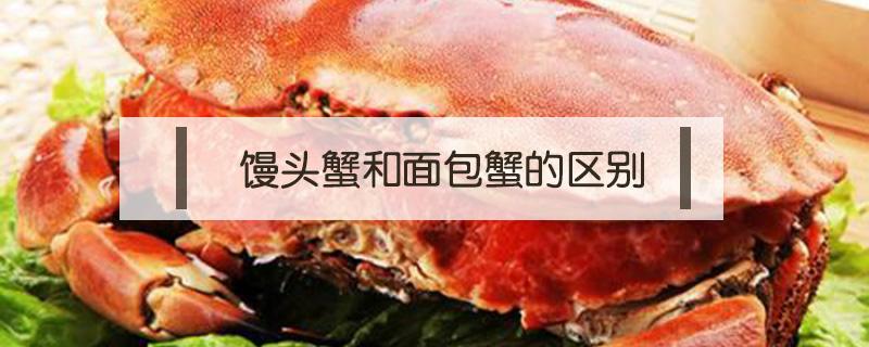 馒头蟹跟面包蟹 馒头蟹和面包蟹的区别