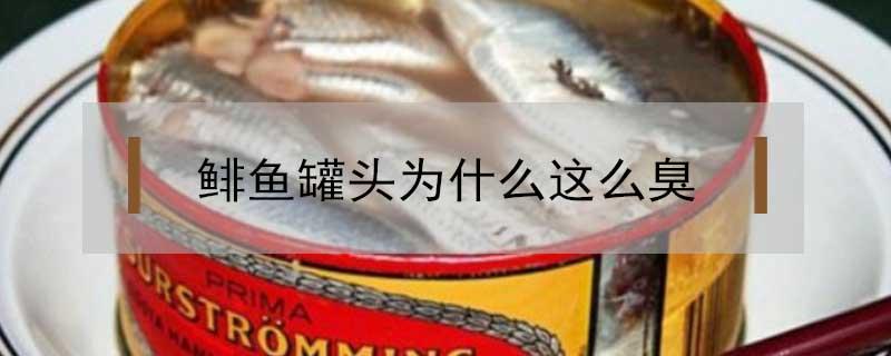 瑞典鲱鱼罐头为什么这么臭 鲱鱼罐头为什么这么臭