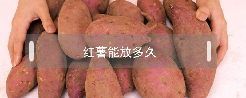 夏天红薯能放多久 红薯能放多久