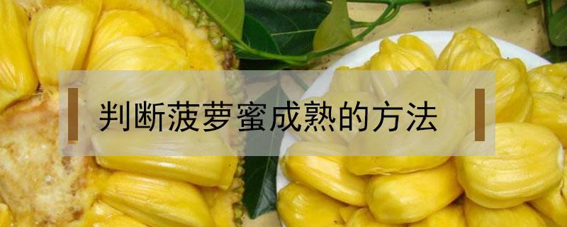 判断菠萝蜜成熟的方法