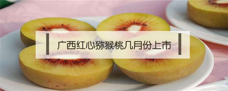 云南红心猕猴桃几月份成熟 广西红心猕猴桃几月份上市