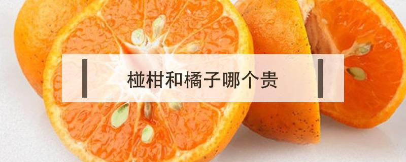 椪柑和橘子哪个贵 橘和柑哪个好吃
