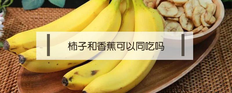 柿子和香蕉可以同吃吗 香蕉与柿子可以同吃吗