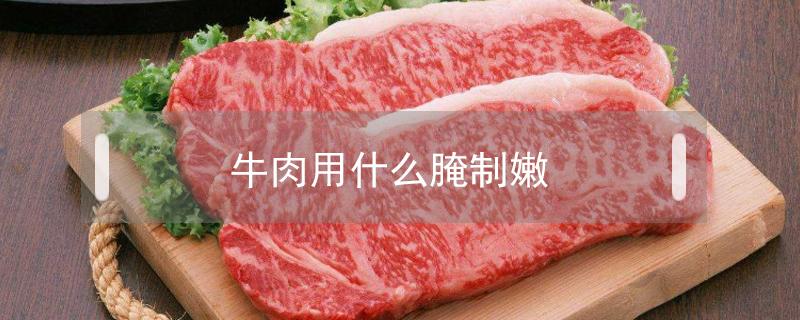 牛肉用什么腌制嫩 牛肉用什么腌制嫩爽