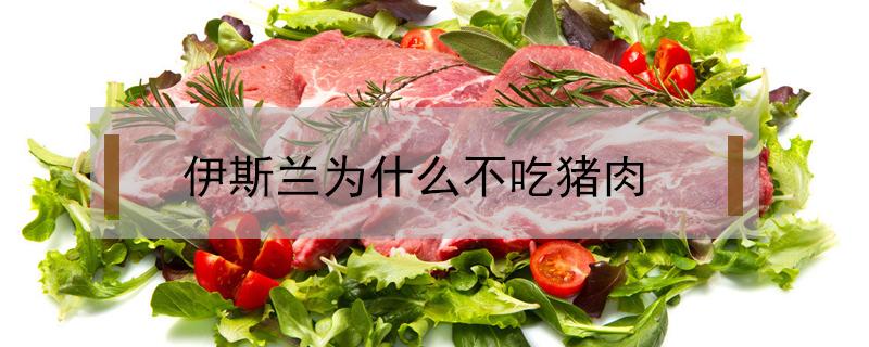 伊斯兰为什么不吃猪肉（回族为什么不吃猪肉）