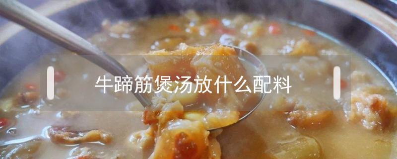 牛蹄筋炖汤放什么 牛蹄筋煲汤放什么配料