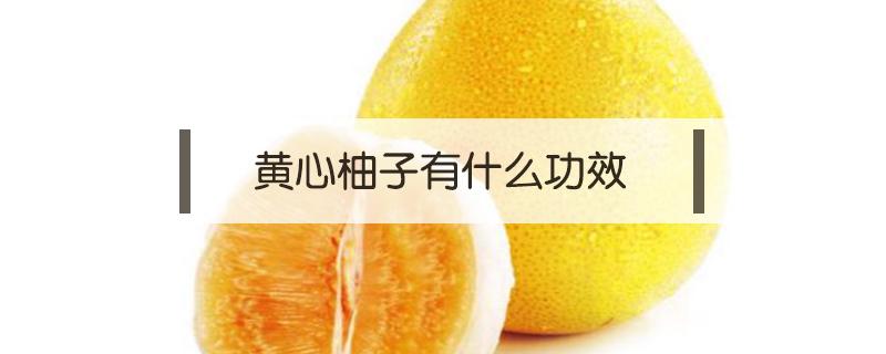 黄心柚子有什么功效 红心柚子和黄心柚子的功效与作用