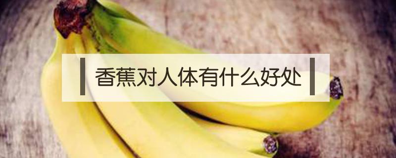 香蕉对人体有什么好处英文 香蕉对人体有什么好处