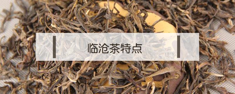 临沧茶特点 临沧产区茶的特点