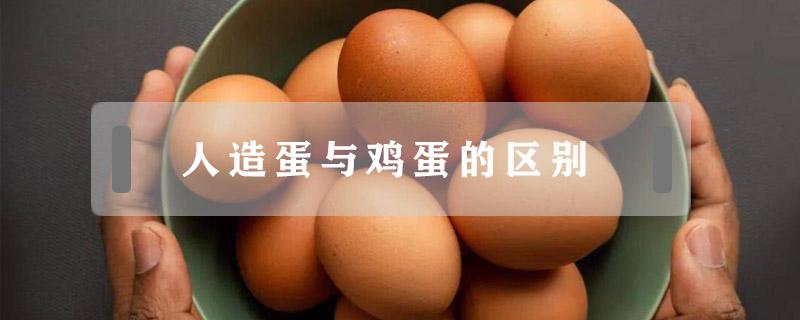 人造蛋与鸡蛋的区别解说 人造蛋与鸡蛋的区别