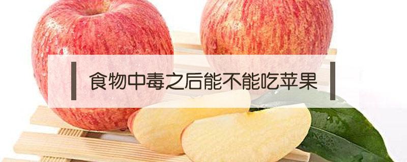 食物中毒可以吃煮的苹果吗 食物中毒之后能不能吃苹果