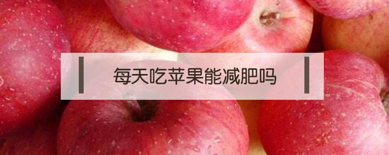 每天吃苹果能减肥吗 每天就吃苹果能减肥吗