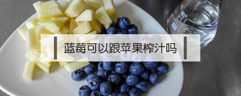 蓝莓可以和哪些水果榨汁 蓝莓可以跟苹果榨汁吗
