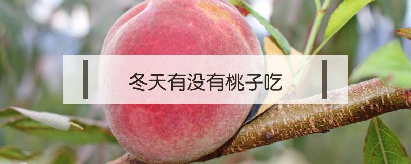 冬天有没有桃子吃 为什么冬天的桃子不能吃