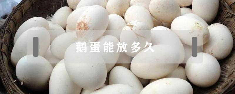 煮熟的鹅蛋能放多久 鹅蛋能放多久