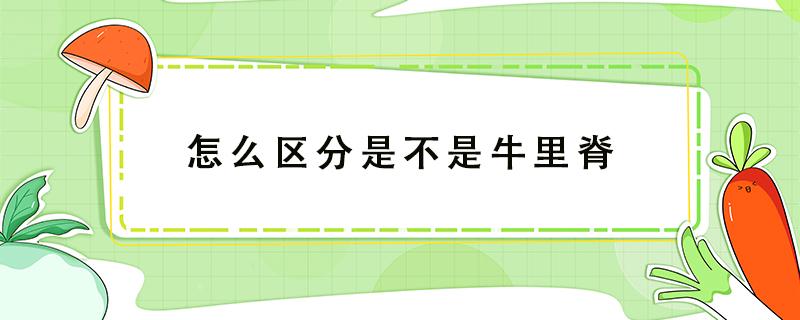 怎么区分是不是牛里脊（怎么区分是不是牛里脊肉）