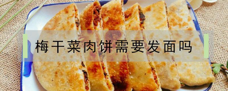 梅干菜肉饼需要发面吗 梅干菜饼要不要发面