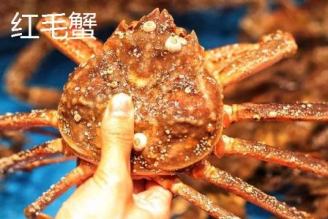 红毛蟹和帝王蟹哪个贵？红毛蟹和帝王蟹的区别