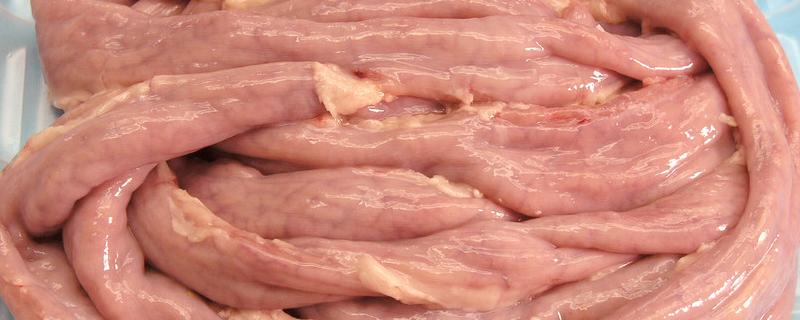 怎样洗猪大肠，如何分辨猪大肠和小肠