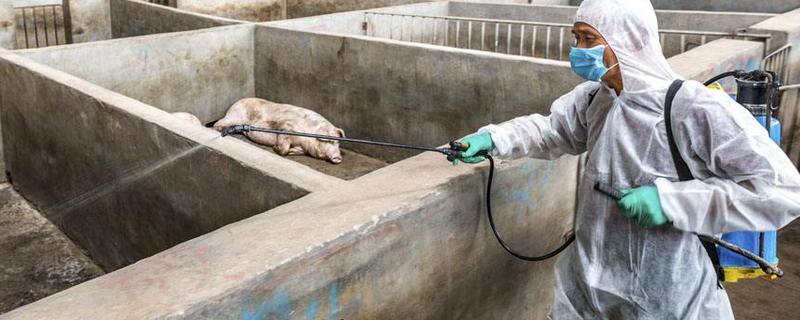 猪场烧碱消毒用什么工具喷洒 猪场烧碱消毒使用方法，用什么工具