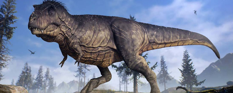 恐龙的体型有多大用说明方法 恐龙的体型有多大