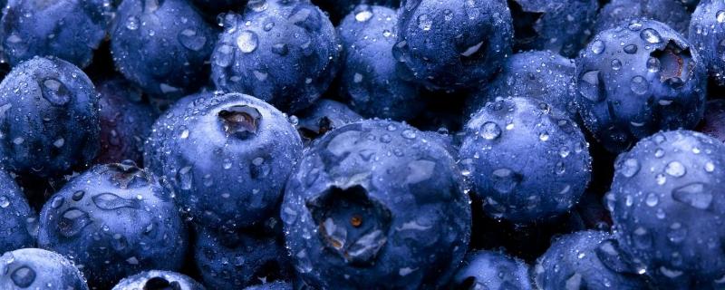 蓝莓需不需要洗，蓝莓保存方法 蓝莓需要洗过吗