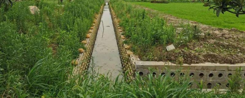 田间灌排渠系主要指，农田排水沟和灌溉沟渠的区别