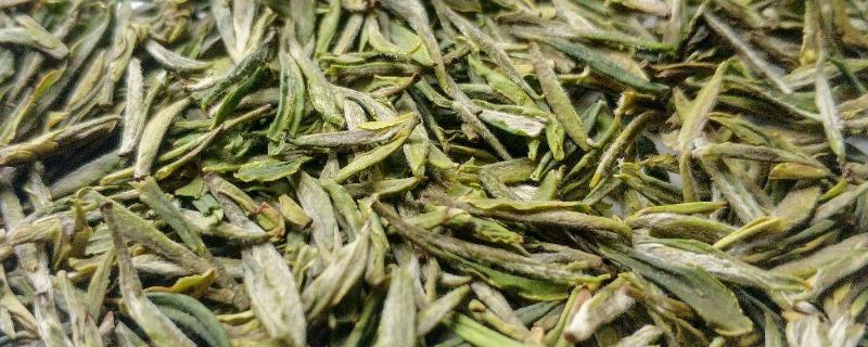 绿茶是不是发酵茶，发酵茶和不发酵茶有什么区别