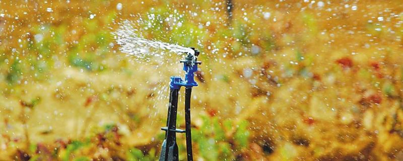 节水灌溉技术主要包括，节水灌溉有哪几种