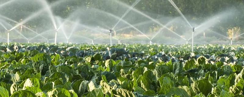 农业是用水大户农业用水量主要用于什么，用水大户是什么产业