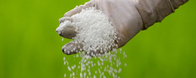 磷肥是用什么原料做的呢 磷肥用于什么农作物，附使用方法