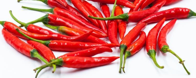 辣椒可以种到几月份 辣椒可以种植几年，附辣椒的品种