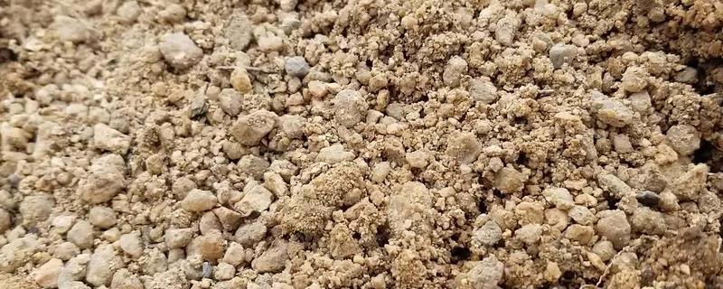 沙土的特点，适合种植什么作物（沙土有什么特点?）