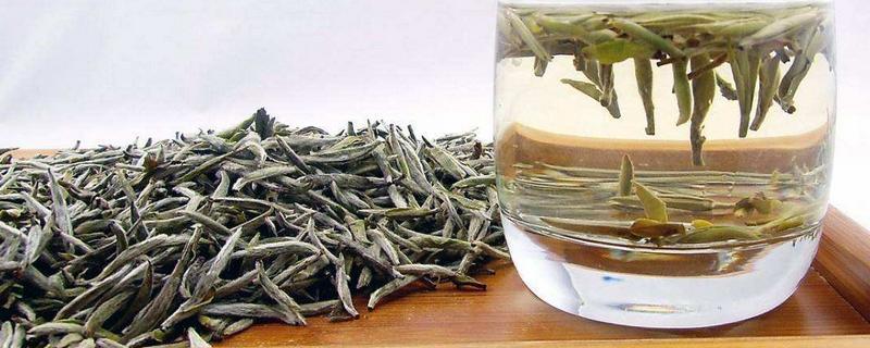 白茶属于什么发酵茶? 白茶发酵程度，属于什么茶类