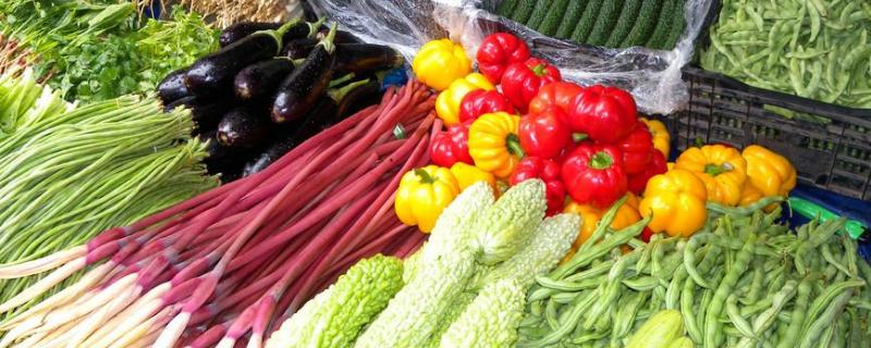 无公害蔬菜和绿色蔬菜哪个安全等级更高，无公害蔬菜市场前景如何