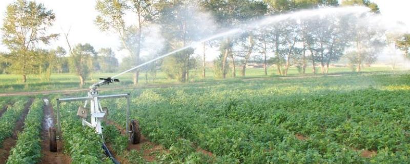 节水灌溉有哪几种,是干什么的呢 节水灌溉有哪几种，是干什么的