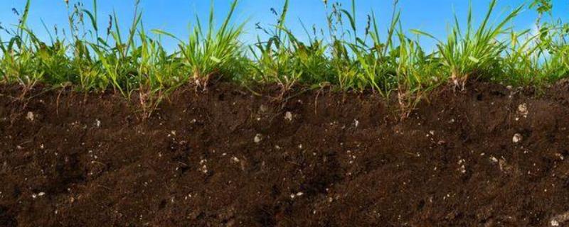 松土精多少钱一斤 松土精一亩地用多少，对人体有害吗