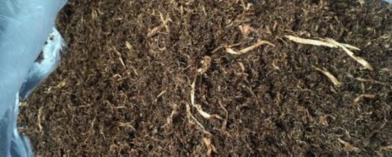 草炭土的作用，适合种植什么作物（草炭土的用途是什么）