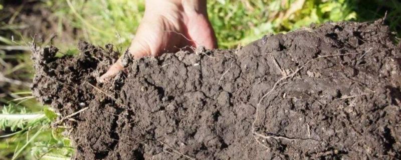 土壤孔隙有哪三种类型 土壤孔隙的类型有哪些