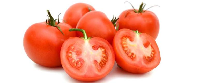 防治番茄卷叶的偏方,原因及防治方法 番茄卷叶用什么药