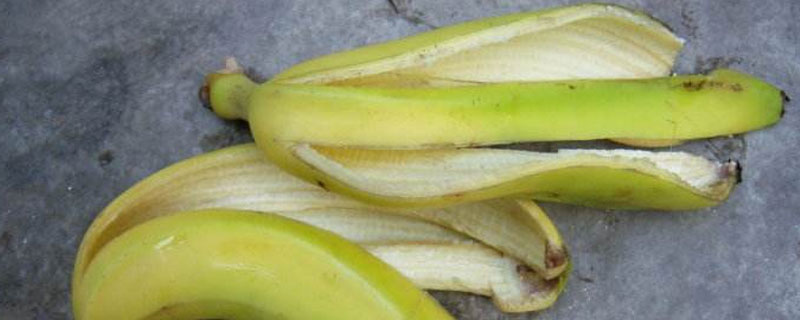 用香蕉皮自制钾肥 香蕉皮泡水是钾肥吗