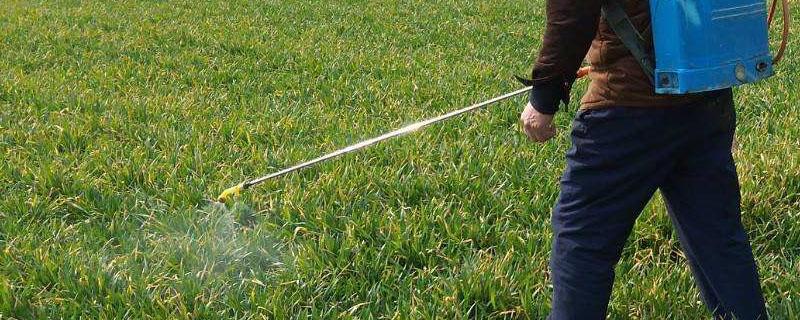 草胺磷配什么能把杂草连根打死 草胺磷和什一起除草效果最好?