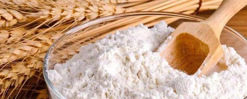 小麦粉适合做什么 麦芯颗粒小麦粉适合做什么