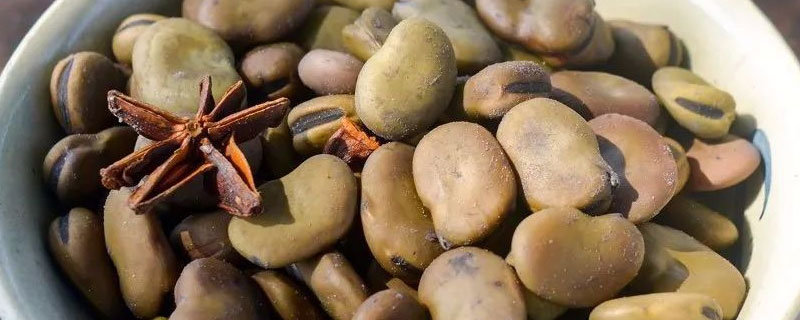 茴香豆是什么豆 孔乙己的茴香豆是什么豆