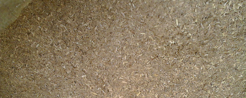 饲料草粉是如何制作的 牧草草粉的加工方法
