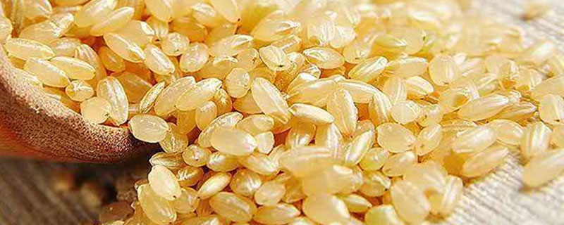 什么米是糙米 什么是糙米