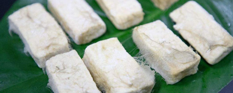 长毛的豆腐是哪的特产 毛豆腐是哪里的特产