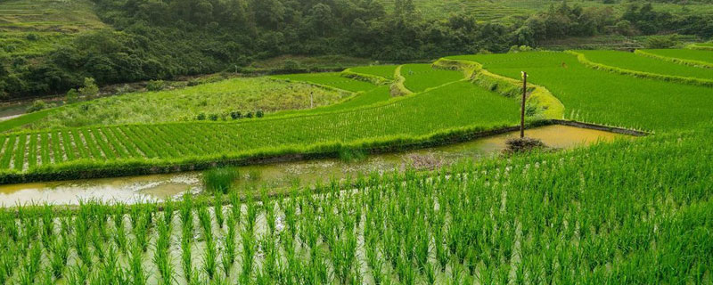 农田灌溉水标准 农田灌溉水标准gb5084