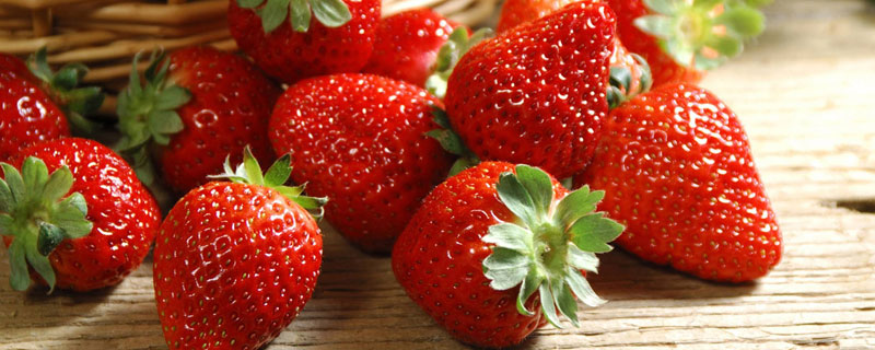 草莓种植时间和方法 广东草莓种植时间和方法